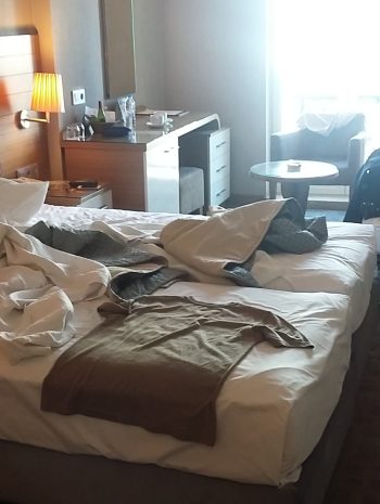 Detailed Review of Hotel Istanbul Trend in Turkey