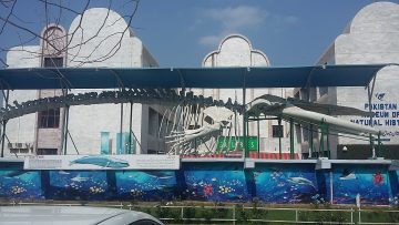 Pakistan Museum of Natural History, Islamabad museum, natural history Pakistan, Islamabad attractions, educational places in Islamabad, science museum Pakistan, museum tour Islamabad, Islamabad tourism, family trip Islamabad, museums in Pakistan, travel blog Pakistan