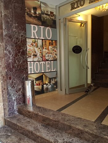 How Did We Find a Hotel For One Night's Stay in Istanbul