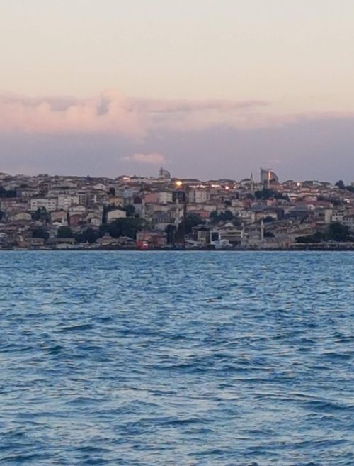 Turkish Bosphorus Cruise Trip in Istanbul